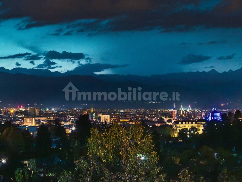 Vista su Torino