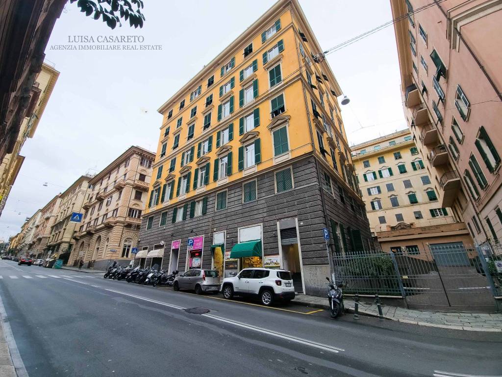 PALAZZO