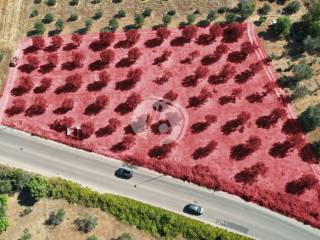 DJI_0149.JPG