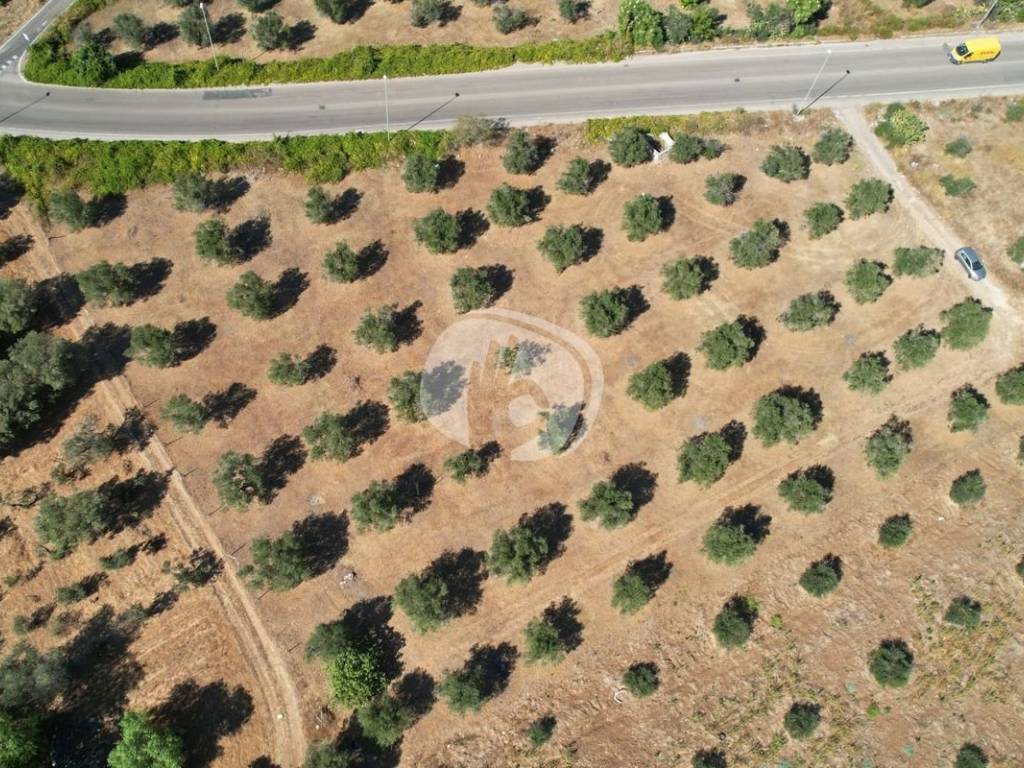 DJI_0154.JPG