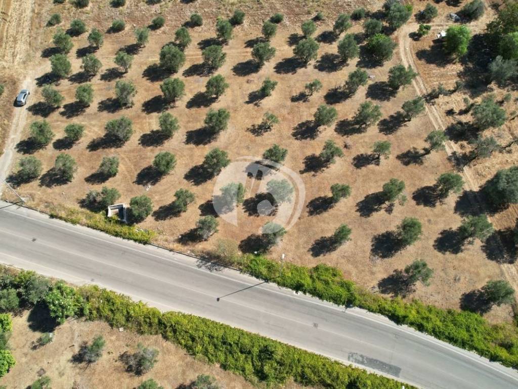 DJI_0155.JPG
