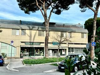 Foto - Si vende Quadrilocale con terrazzo, Maremma e Argentario, Grosseto