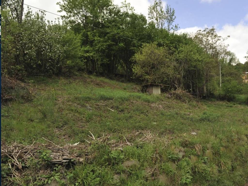 Terreno agricolo strada viale snc, baldissero torinese