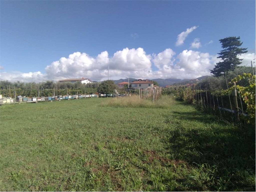Terreno agricolo nuova appia, luni