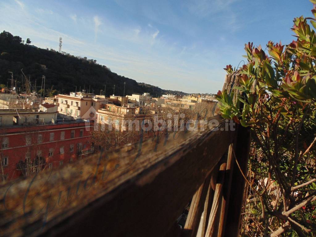 panorama terrazza