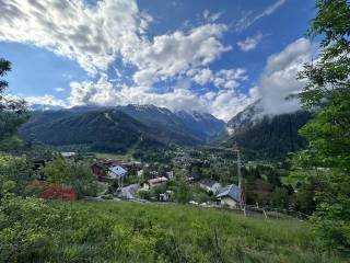 Vista