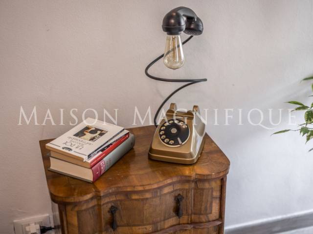 maison magnifique  55