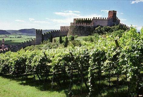 soave