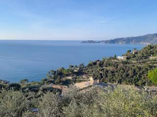 Foto - Vendita Rustico / Casale nuovo, Zoagli, Riviera di Levante