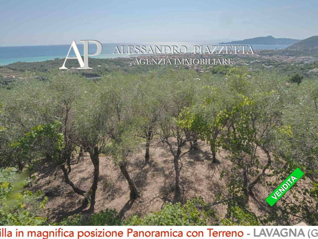 Il contesto nel verde a pochi km dal mare