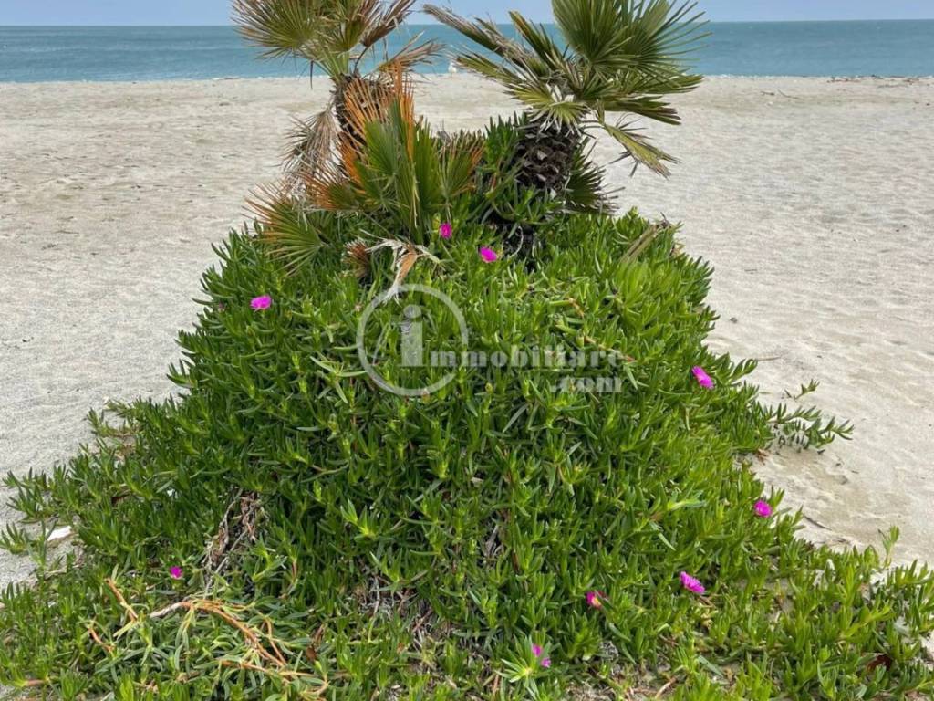 Spiaggia