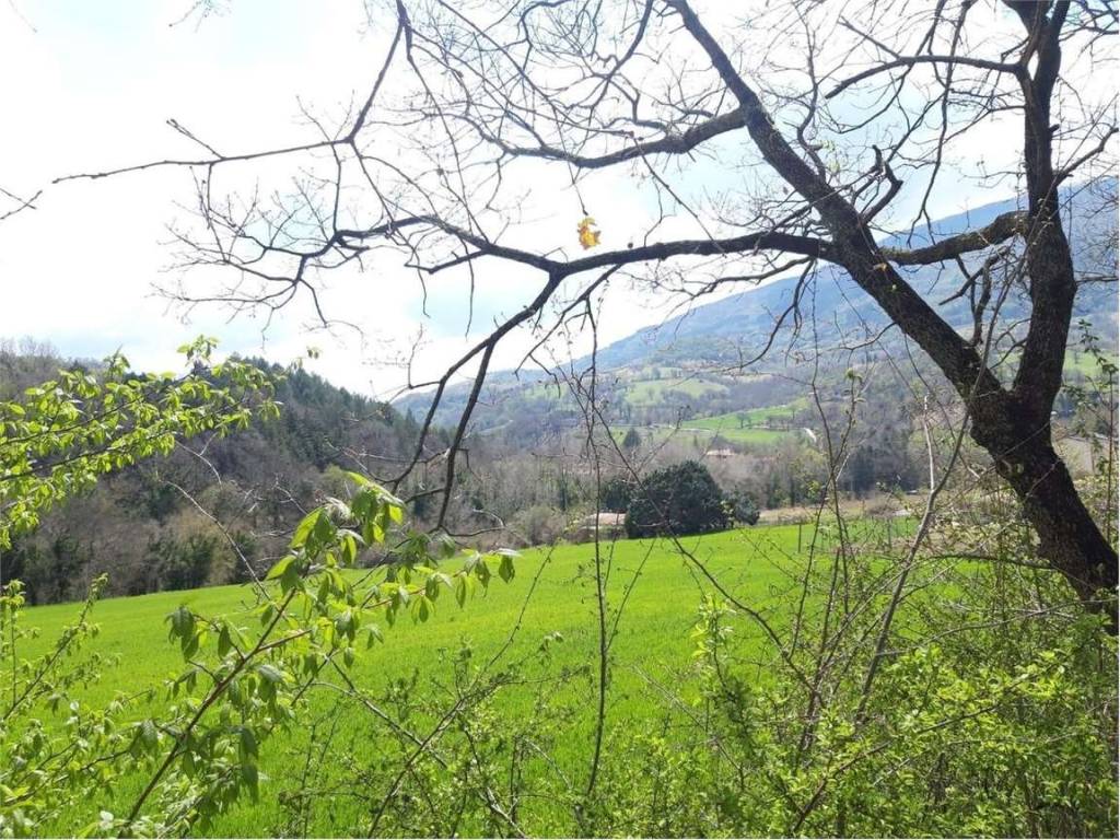 Terreno agricolo statale 444, 0, assisi