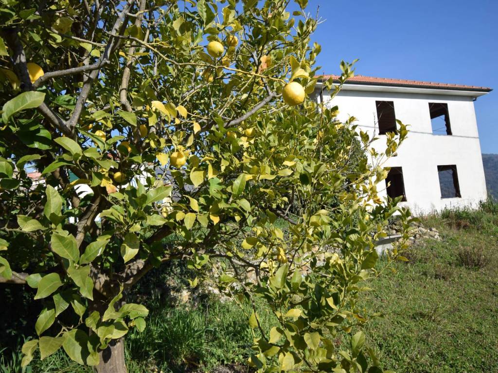 Villa e giardino