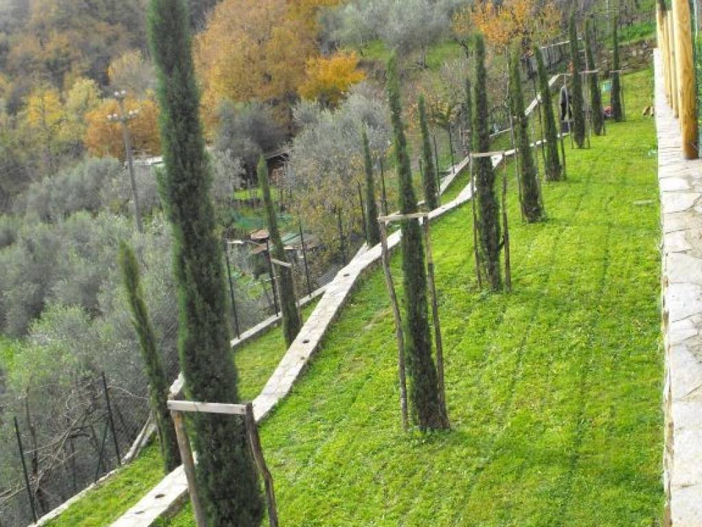 Barberino Mugello vendita chiesa sconsacrata