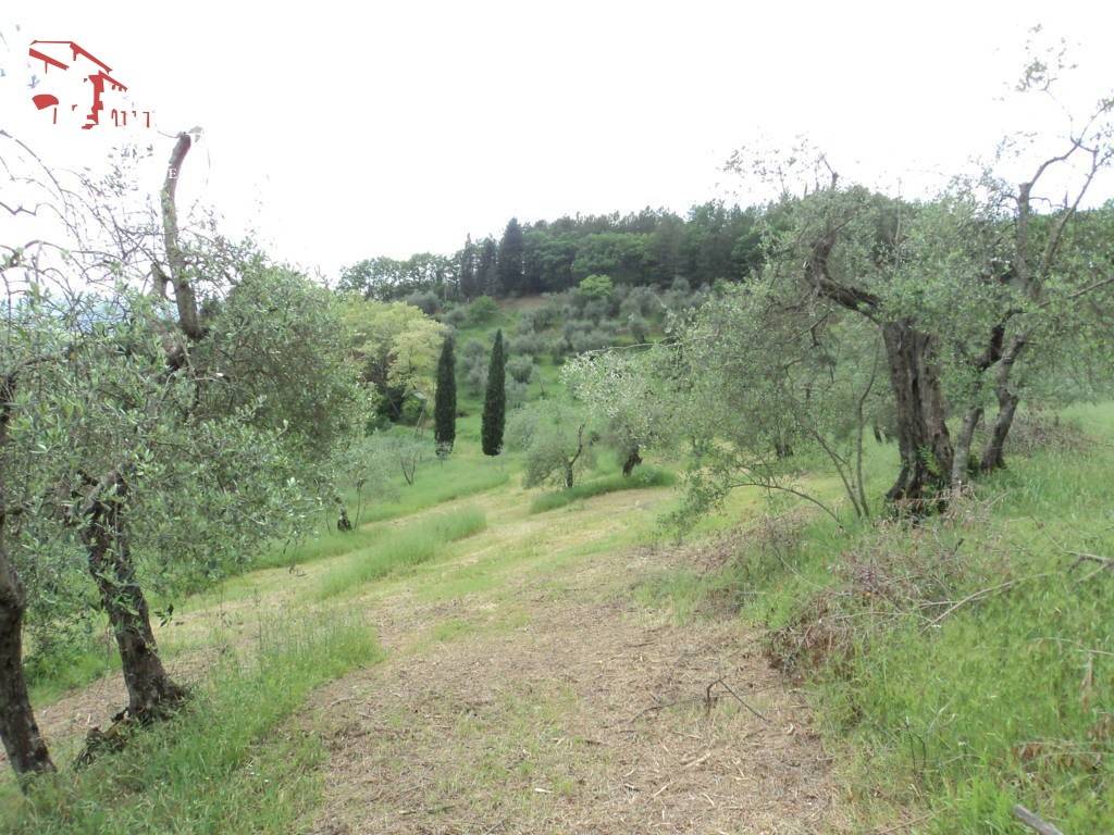 Molin del Piano vendita colonica con terreno