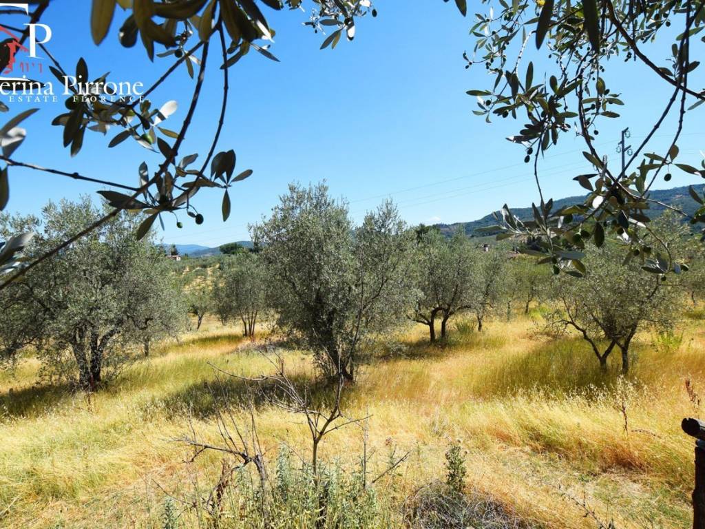 FIESOLE VENDESI TERRENO AGRICOLO CON DUE ANNESSI