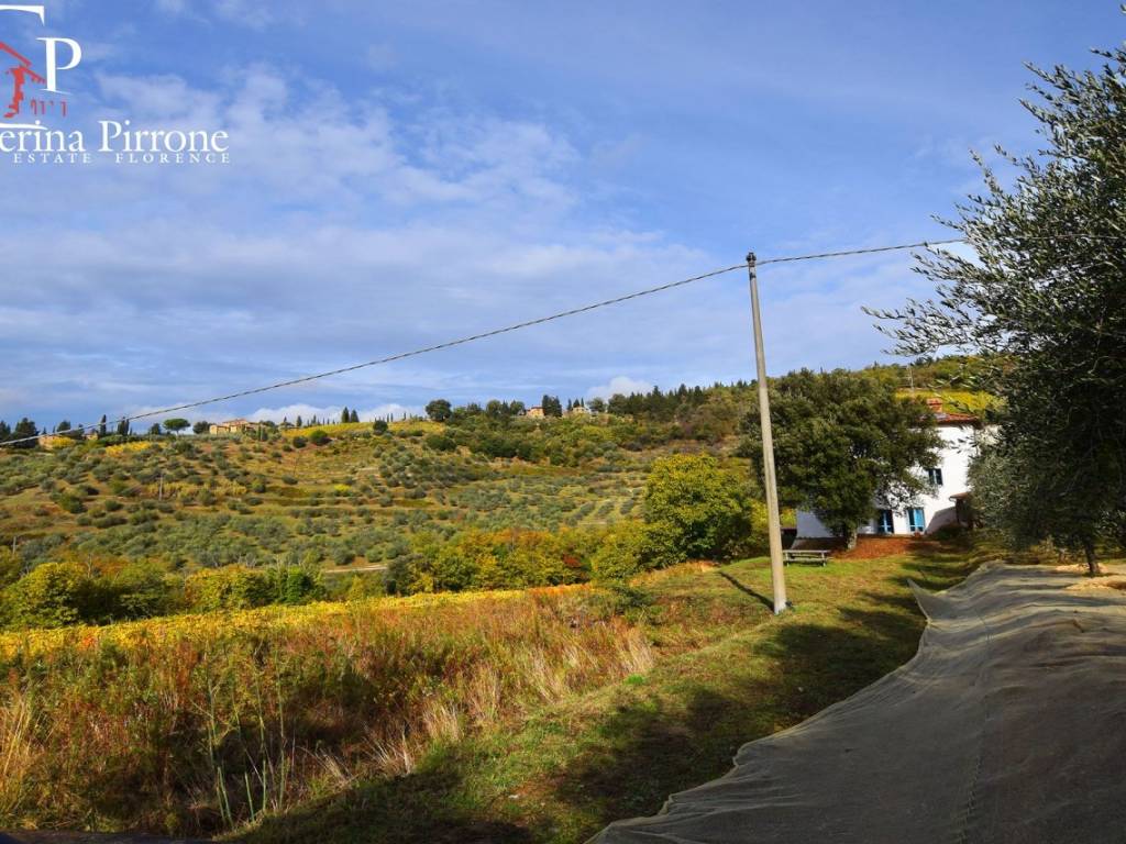 GREVE IN CHIANTI VENDESI COLONICA