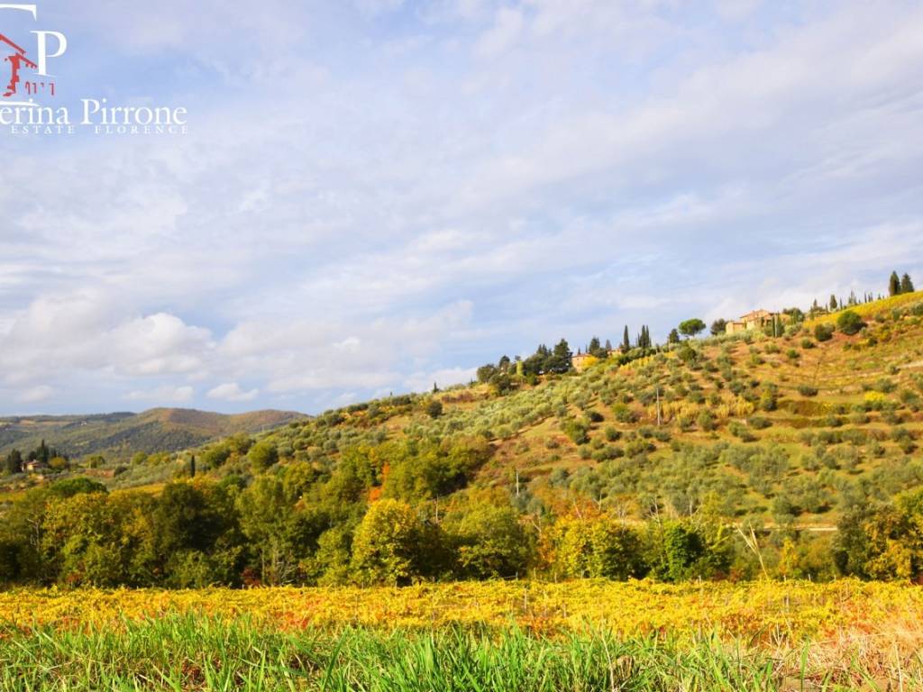 GREVE IN CHIANTI VENDESI COLONICA