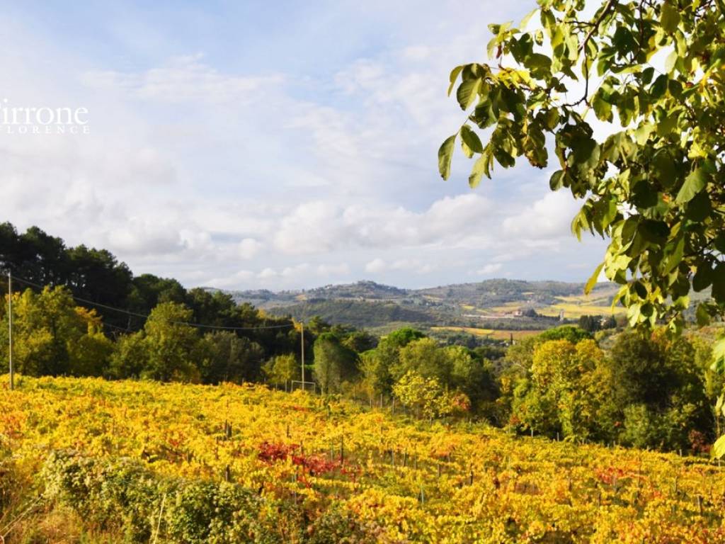 GREVE IN CHIANTI VENDESI COLONICA