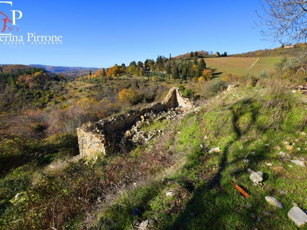 Radda in Chianti - Selvole vendesi coloniche con terreni