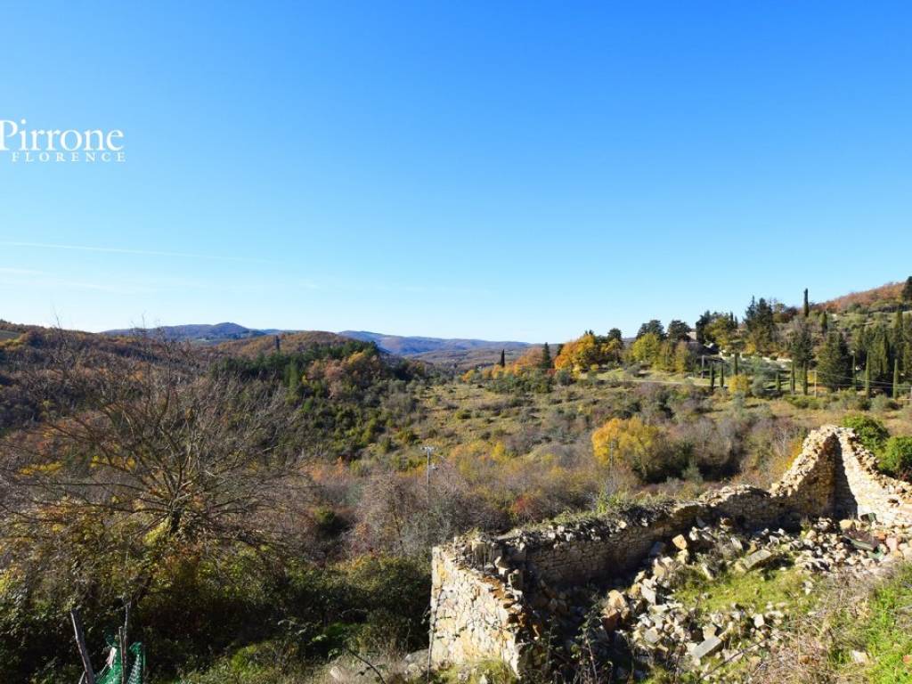 Radda in Chianti - Selvole vendesi coloniche con terreni