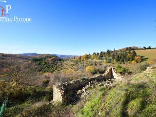 Radda in Chianti - Selvole vendesi coloniche con terreni