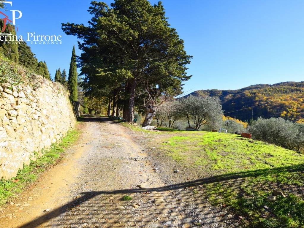 Radda in Chianti - Selvole vendesi coloniche con terreni