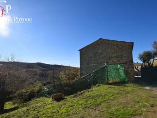 Radda in Chianti - Selvole vendesi coloniche con terreni