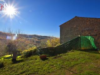 Radda in Chianti - Selvole vendesi coloniche con terreni