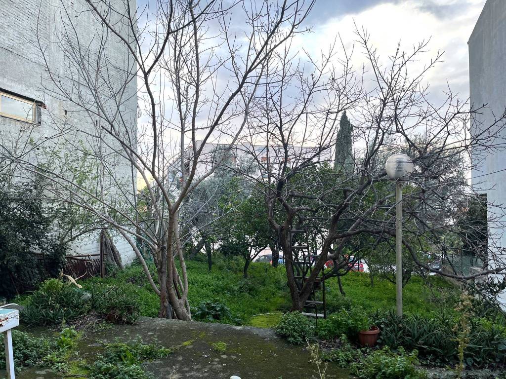 giardino