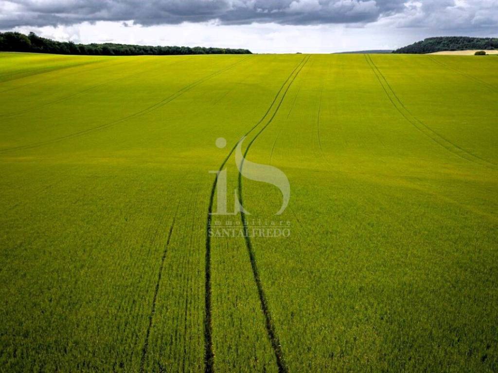 Vendita Terreno Agricolo