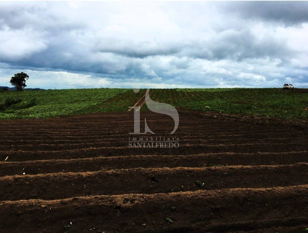 Vendita Terreno Agricolo