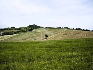 Vendita Terreno Agricolo