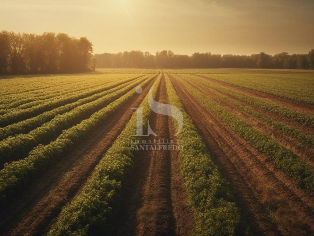 Vendita Terreno Agricolo