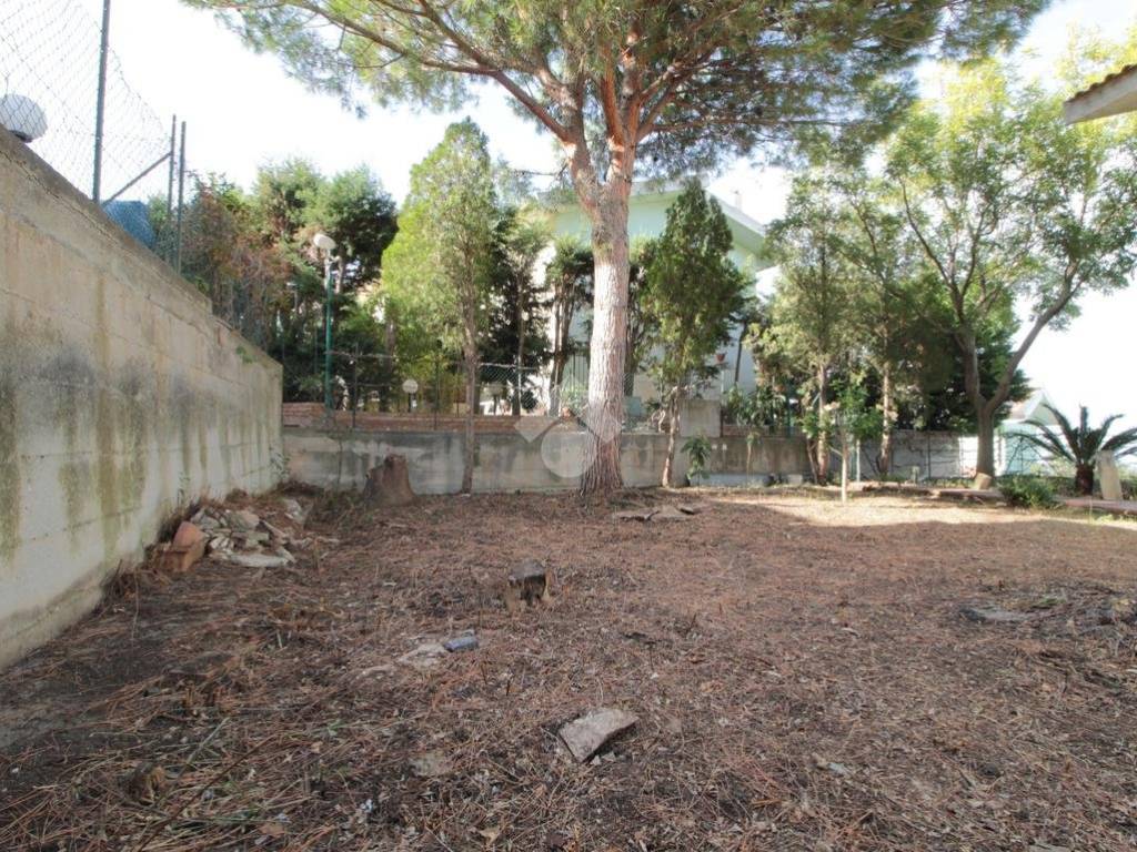 3-GIARDINO