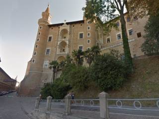 Urbino2