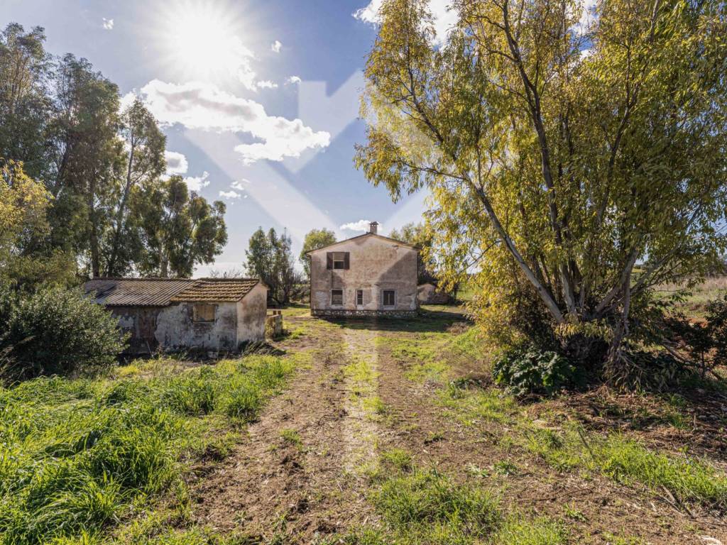 giardino con alberi