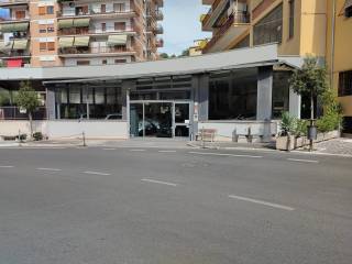 Zona