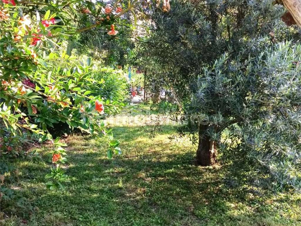 Porzione di casa con giardino privato a Cirimido