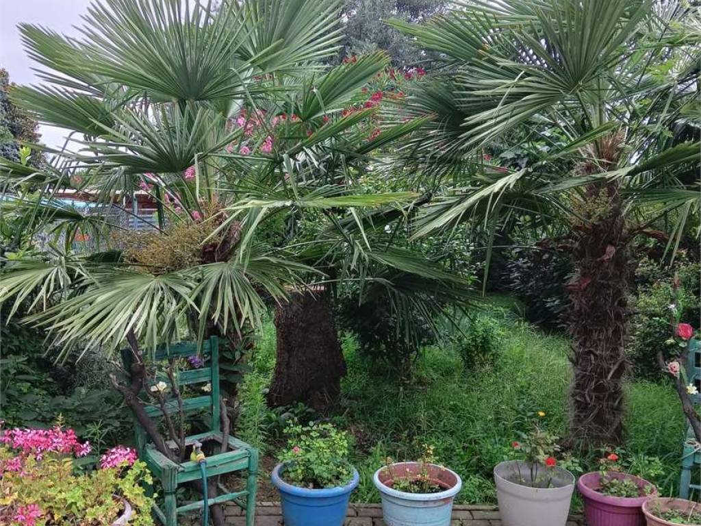 Porzione di casa con giardino privato a Cirimido