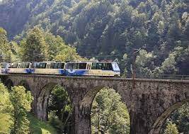 trenino vigezzina per Locarno