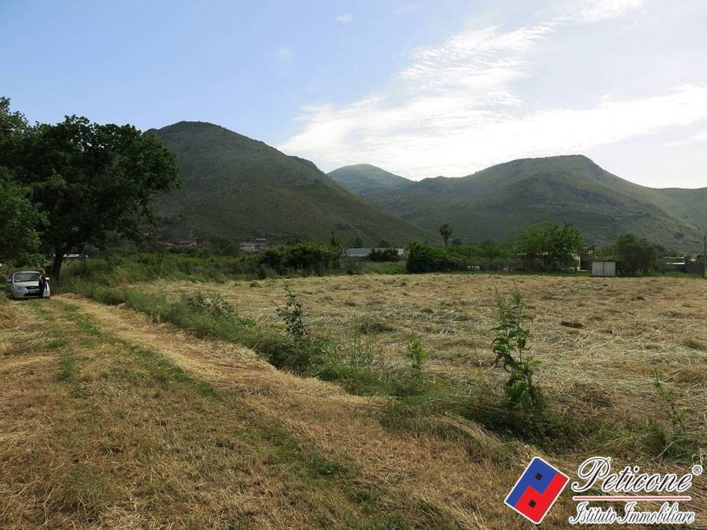 Terreno agricolo via casoni, fondi