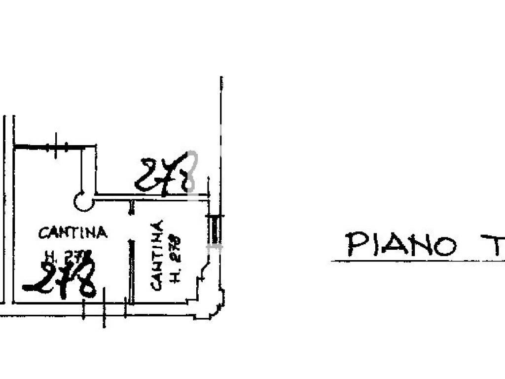 pln annuncio  taverna