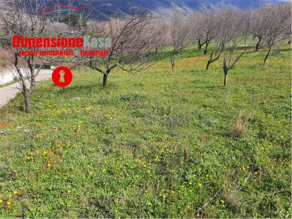 Terreno