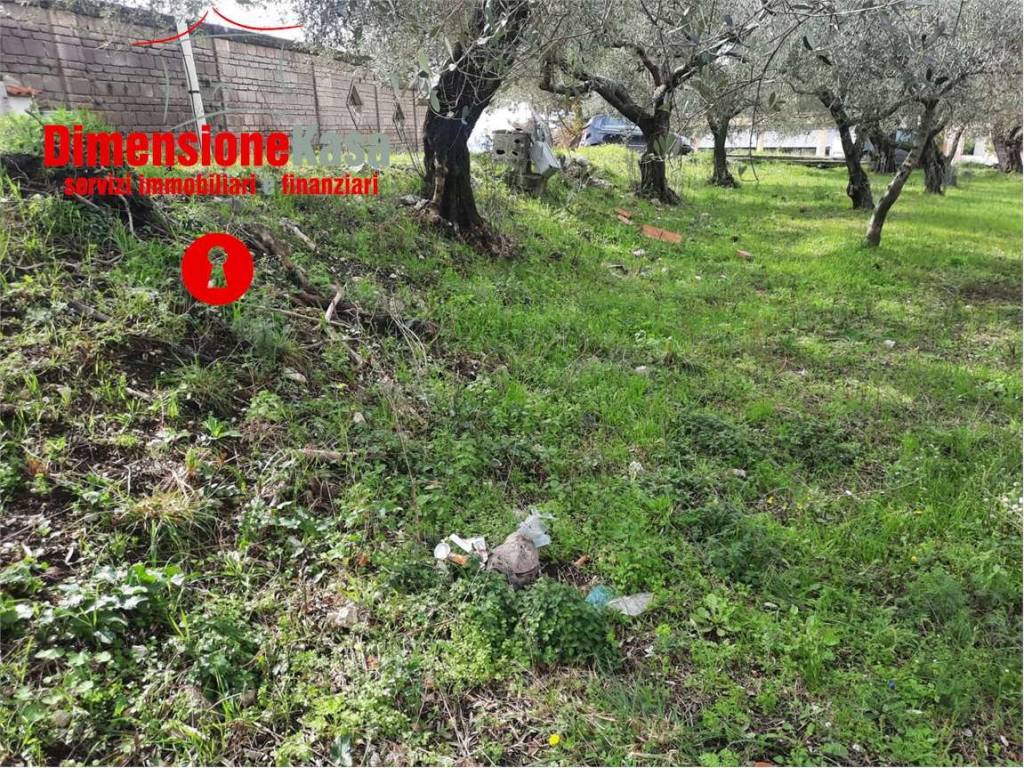 Terreno