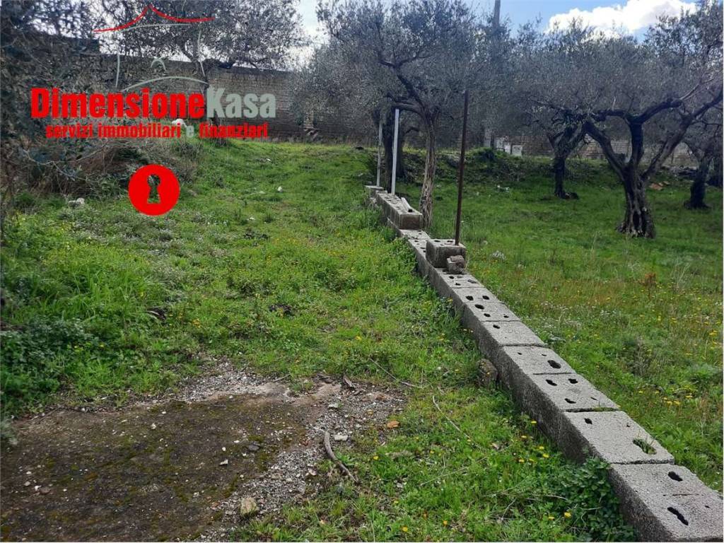 Terreno