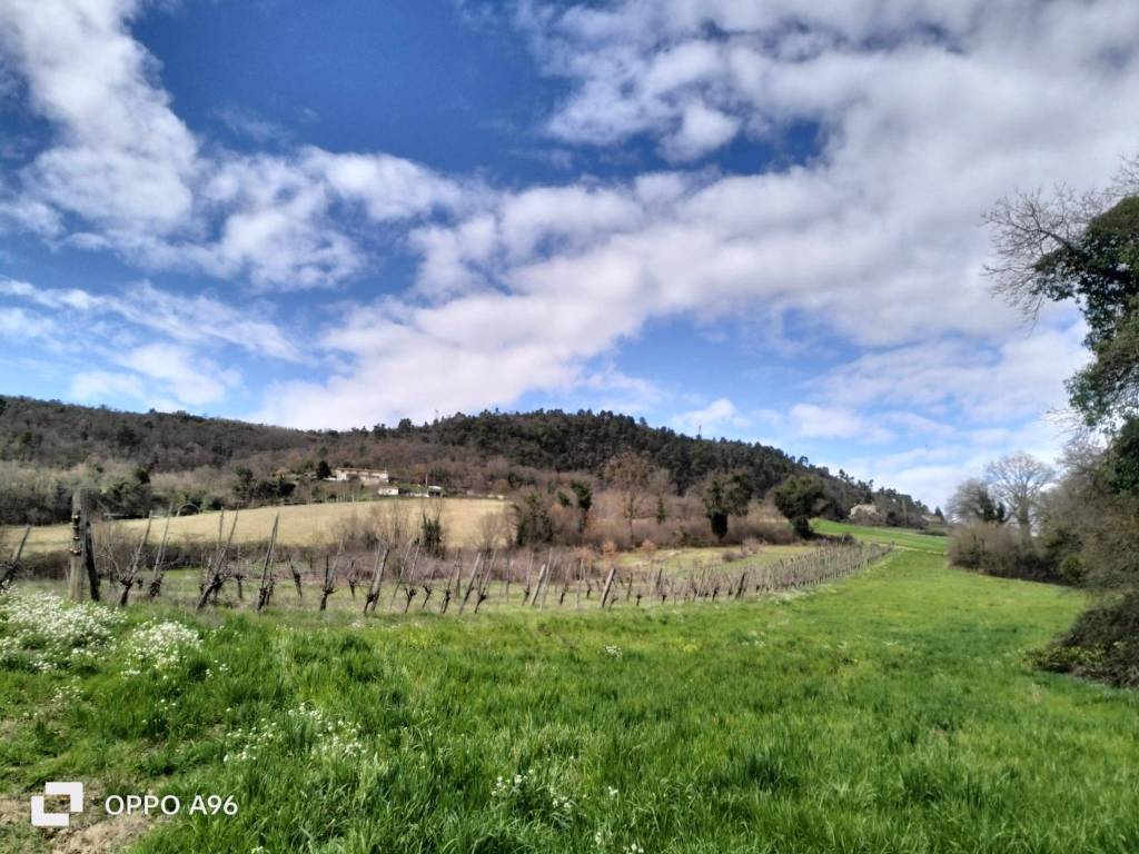 Terreno agricolo strada provinciale arronese, arrone