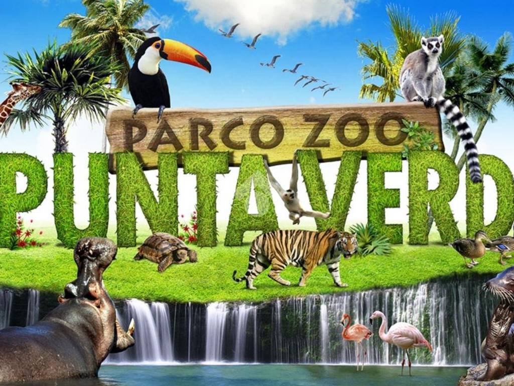 attrazione - zoo riviera