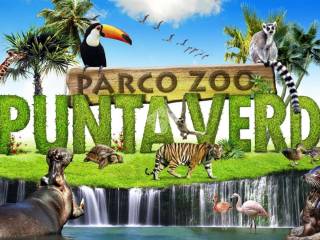 attrazione - zoo riviera