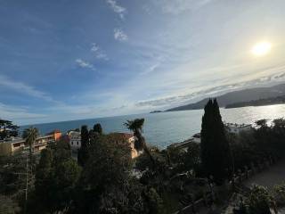 Viste